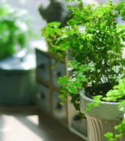 乐山专属于你的开运指南，助你鸿运当头福满身！